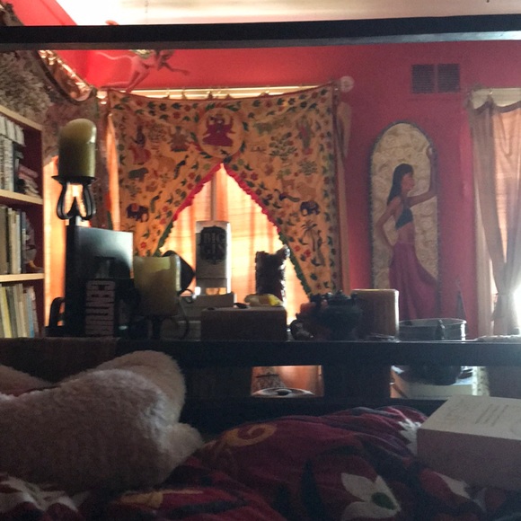 Meet your Posher, Amy - Picture 1 of 1